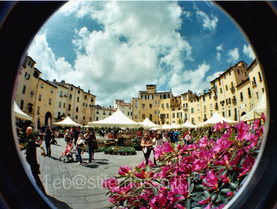 Piazza Anfiteatro Fisheye Spring by Eleonora Borelli
